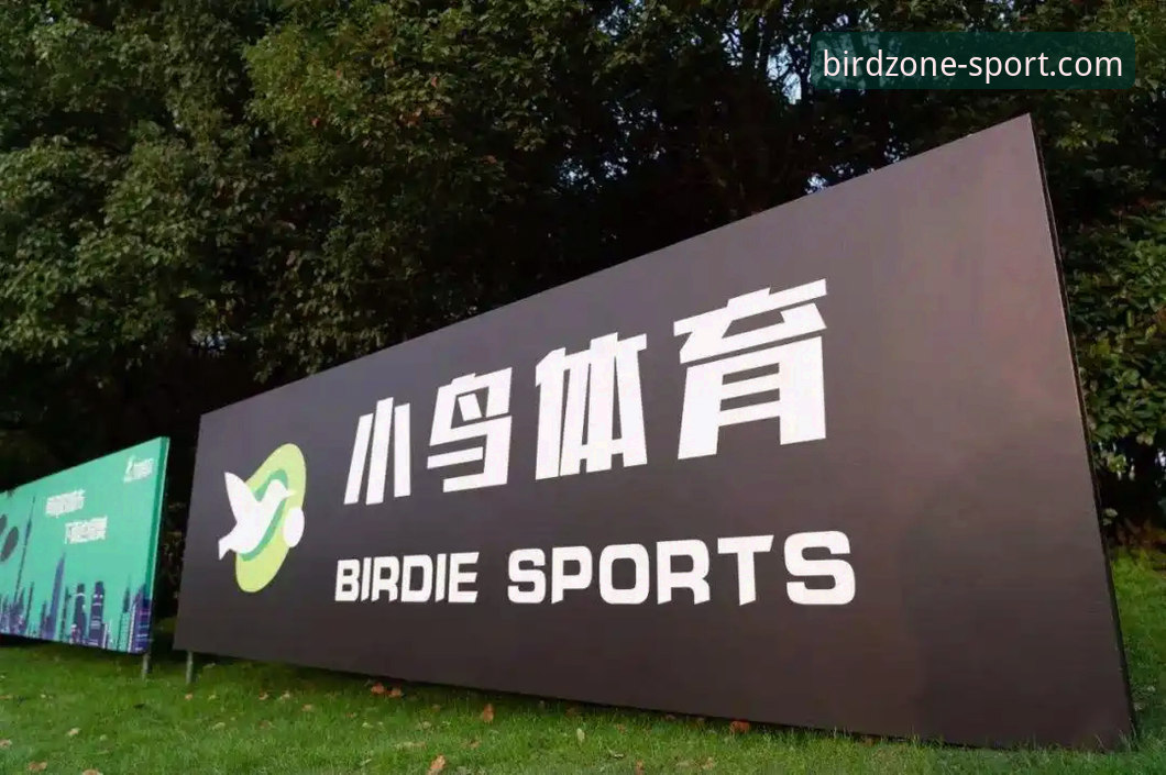小鸟体育平台实战功能深度解析：从下载到数据追踪，一篇搞定