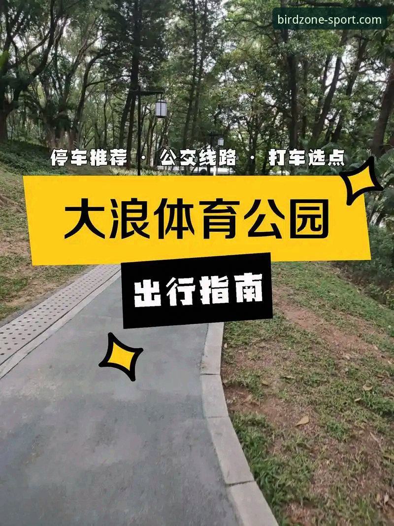 小鸟体育最新版下载使用技巧 小鸟体育最新版下载使用技巧完整指南:从安装到实战的10个高效操作