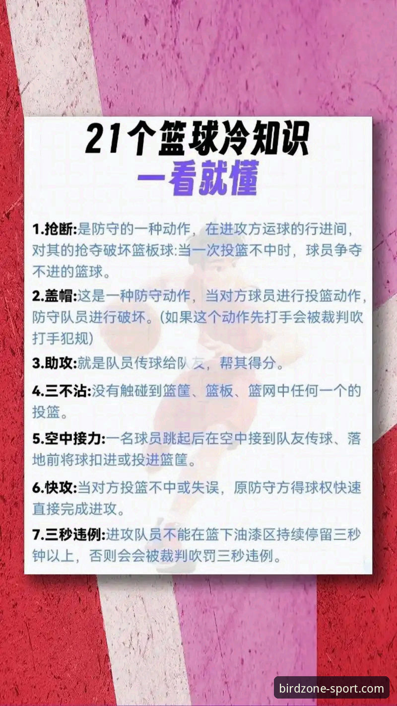 揭秘小鸟体育赛事比分推荐的五大核心功能，新手也能轻松上手